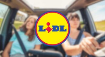 Dovrebbero averlo tutti durante i viaggi in auto: trovato da LIDL a 4,99€. Da prendere subito